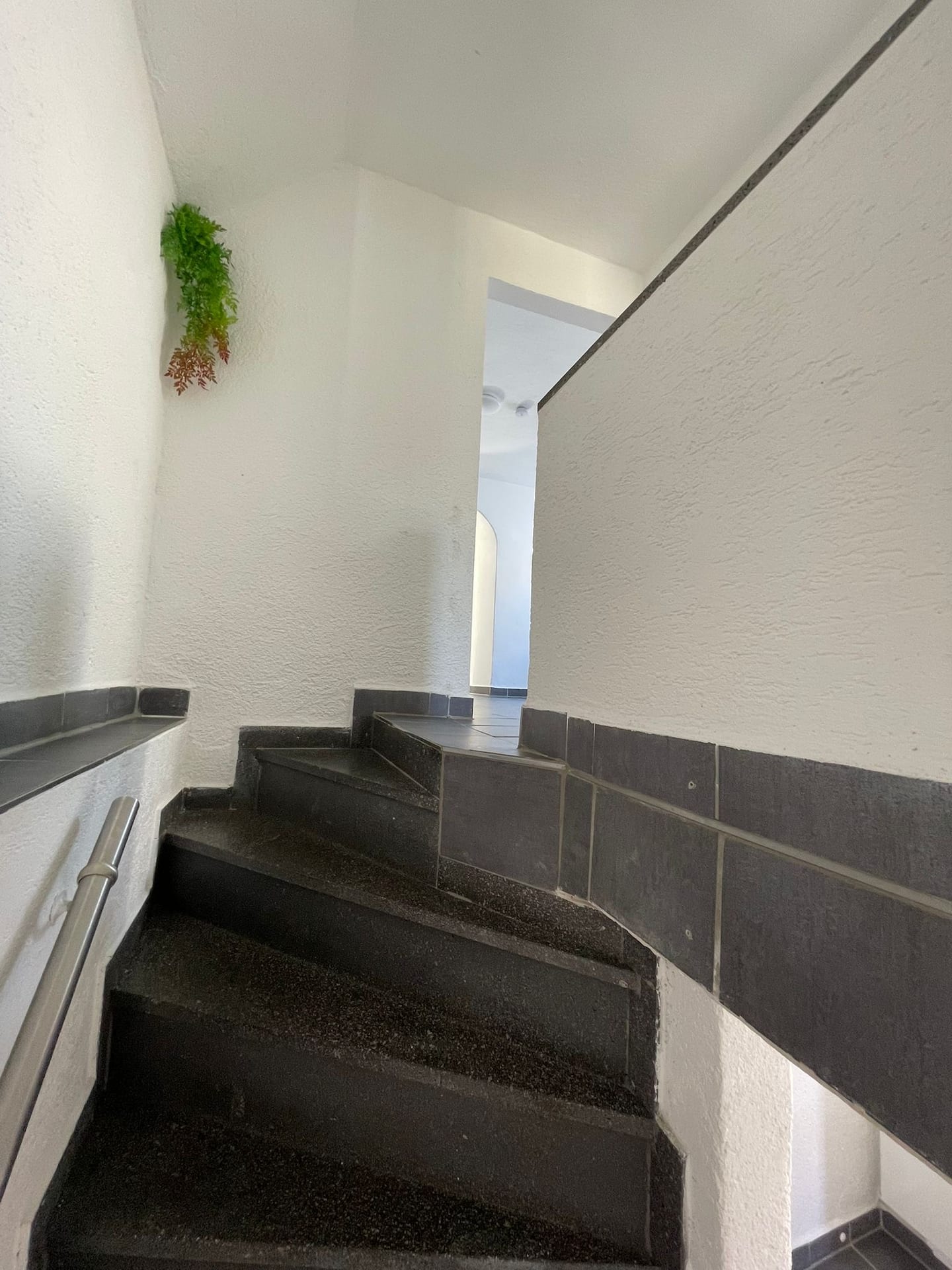 Inseratsbild 22